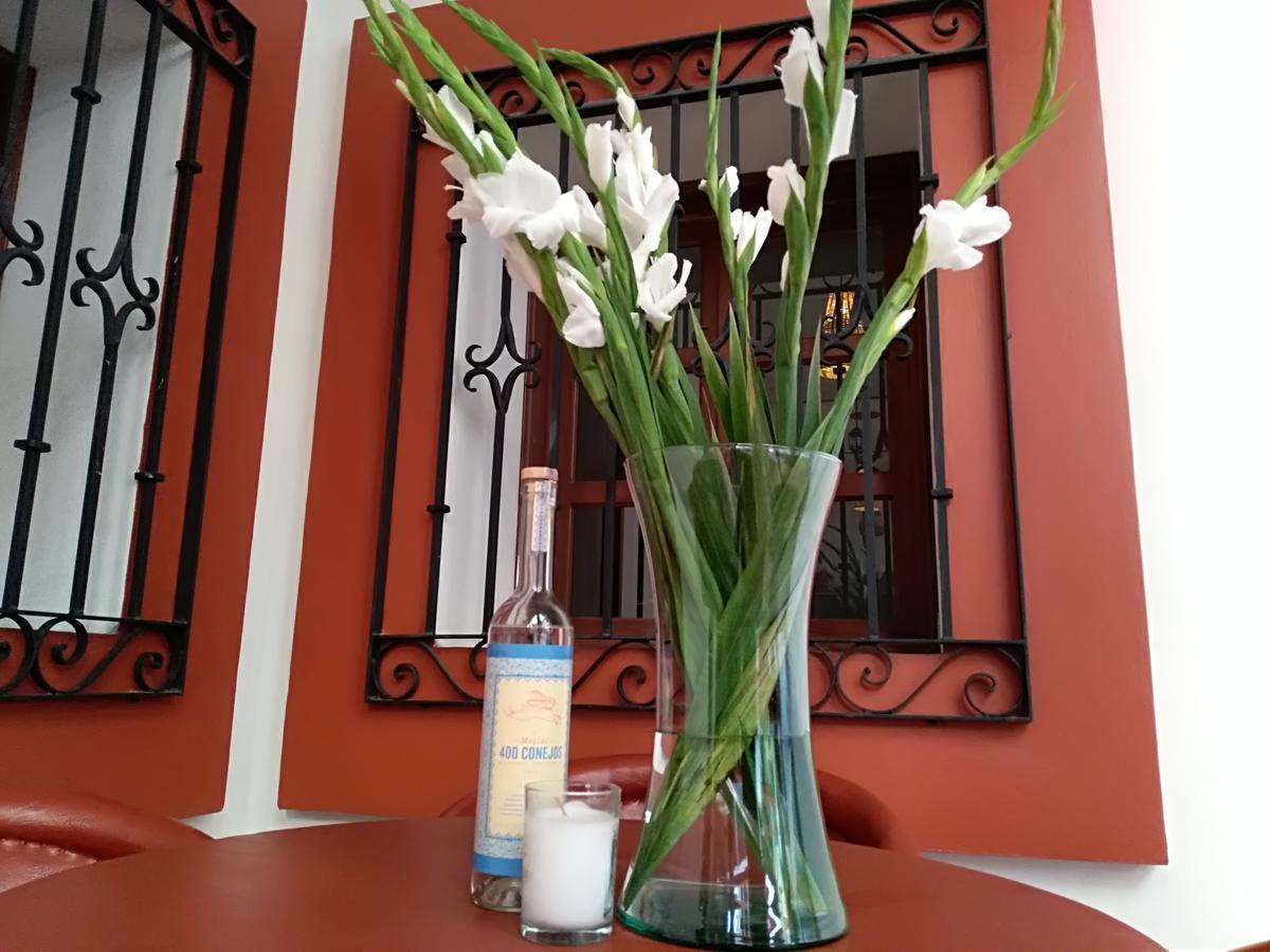 Casa Agave Oaxaca B&B 외부 사진