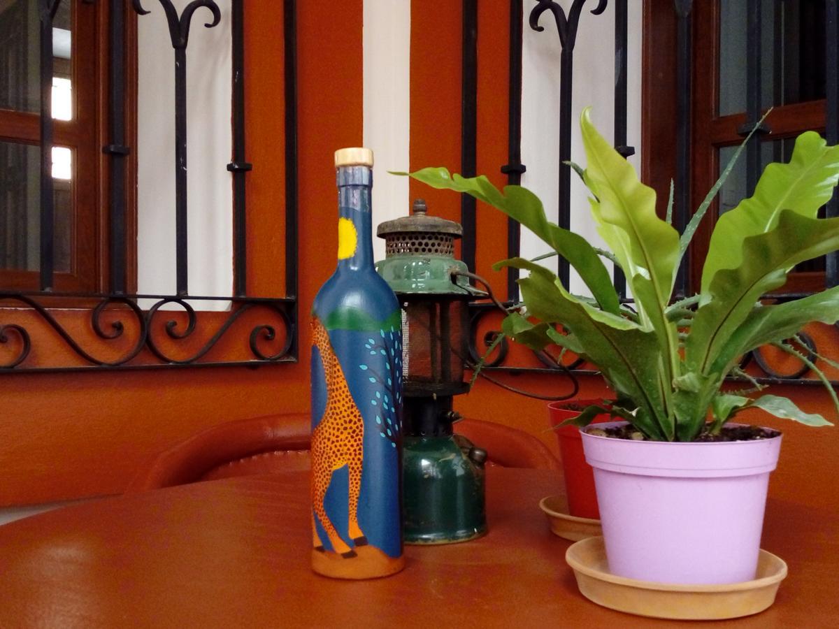 Casa Agave Oaxaca B&B 외부 사진
